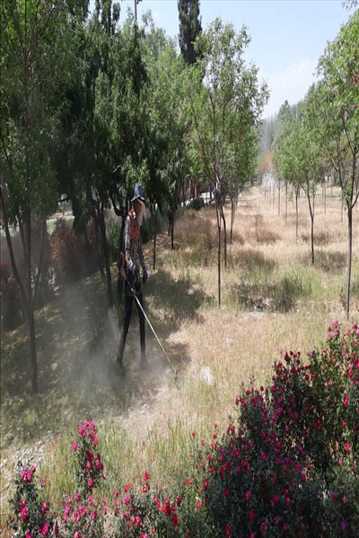 شهرداری ملارد برای تحقق سرانه های