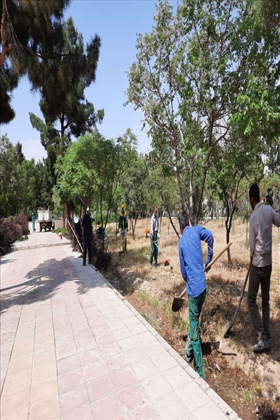 شهرداری ملارد برای تحقق سرانه های