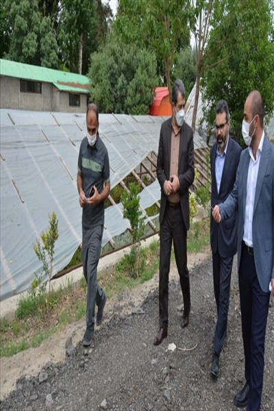 شهردار ملارد از گلخانه بخش تکثیر