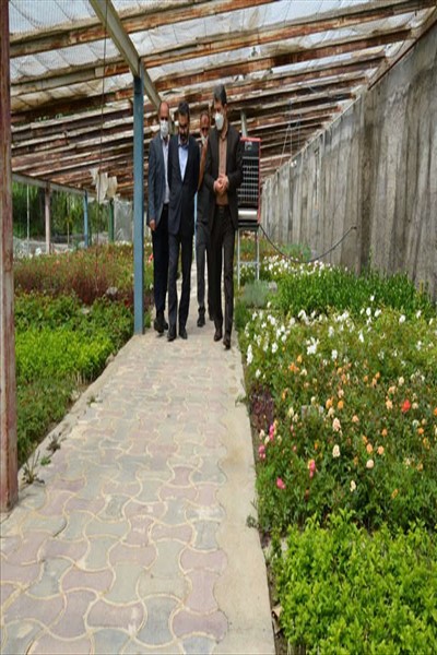 شهردار ملارد از گلخانه بخش تکثیر