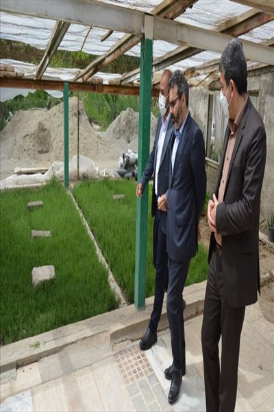 شهردار ملارد از گلخانه بخش تکثیر