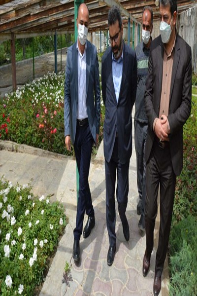 شهردار ملارد از گلخانه بخش تکثیر