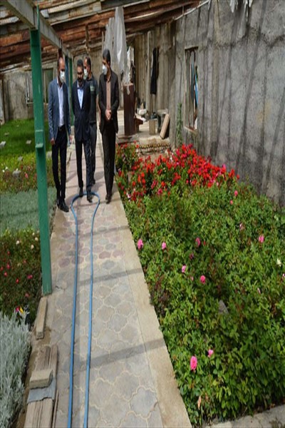 شهردار ملارد از گلخانه بخش تکثیر