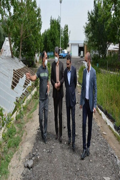 شهردار ملارد از گلخانه بخش تکثیر