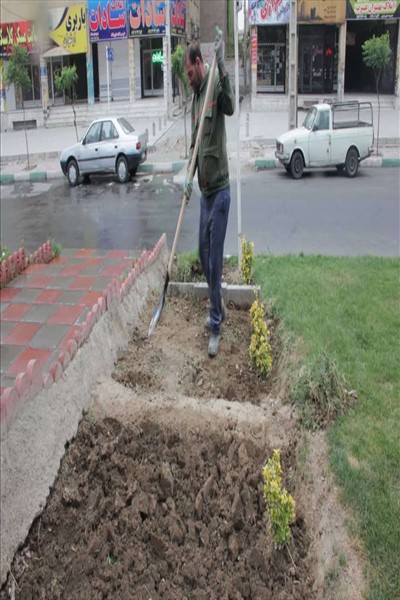 چهارمین مرحله از طرح محله محور