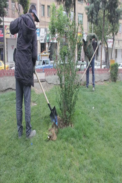 چهارمین مرحله از طرح محله محور