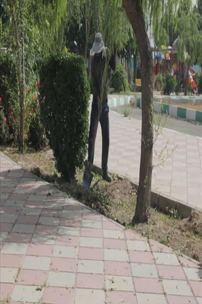 پنجمین مرحله از طرح محله محور جمعه