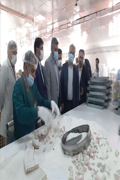 بازدید فرماندار ملارد از دو واحد