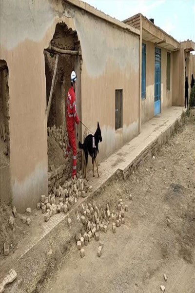 بازدید از اجرای مانور استانی بهداشت