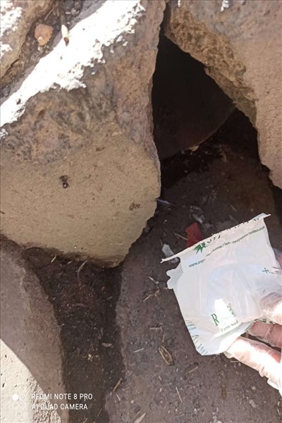 طرح طعمه گذاری حیوانات موذی در