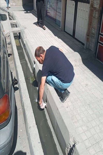 طرح طعمه گذاری حیوانات موذی در