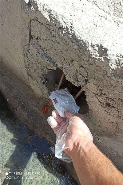 طرح طعمه گذاری حیوانات موذی در