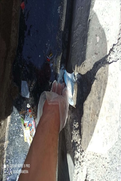 طرح طعمه گذاری حیوانات موذی در