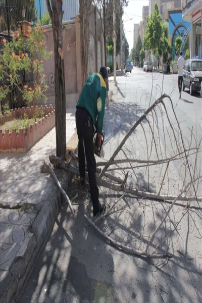 اجرای هفتمین مرحله از طرح محله