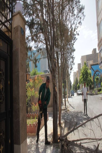 اجرای هفتمین مرحله از طرح محله