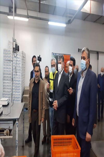 بازدید وزیر جهاد کشاورزی از بزرگترین