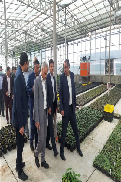 بازدید معاون استاندار تهران از