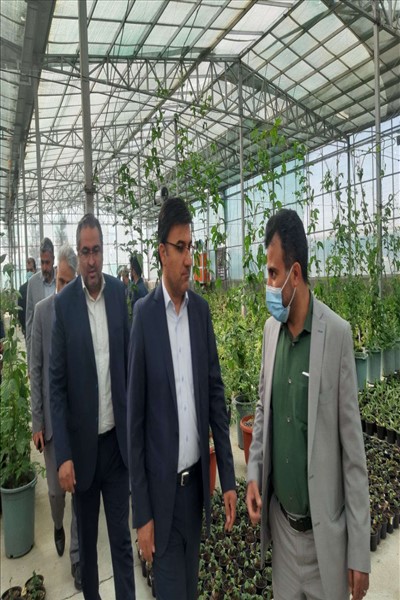 بازدید معاون استاندار تهران از