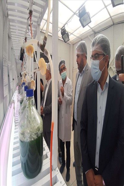 مرکز نوآوری و شتابدهی تخصصی پیشتاز