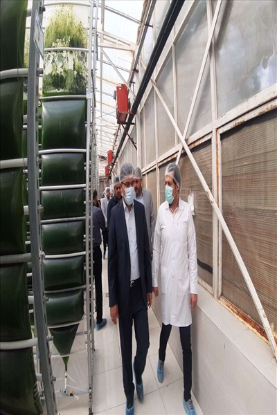 مرکز نوآوری و شتابدهی تخصصی پیشتاز