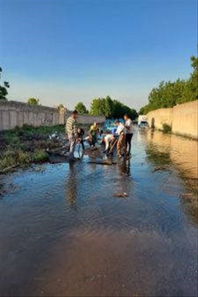 همکاری شهرداری صفادشت با کشاورزان