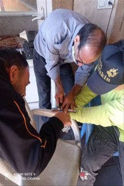 انجام ۲۶۳ عملیات امداد ونجات واطفاء