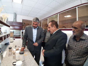 بازدید فرماندار ملارد از کارخانه